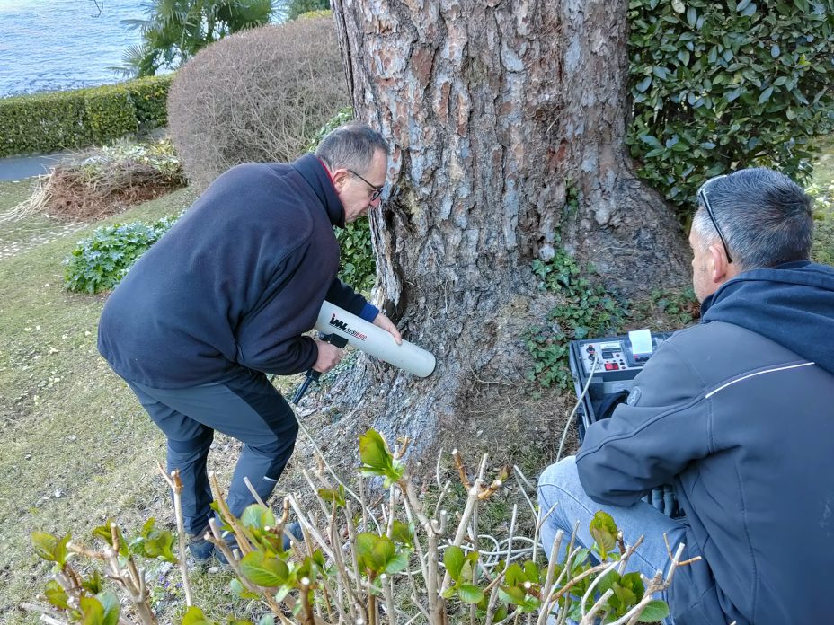 Analisi fitosanitaria per l'apertura di un parco avventura