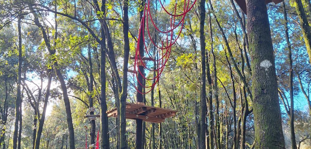 Realizzazione parco avventura Lazio
