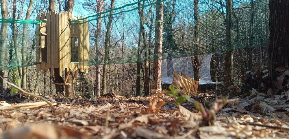 Realizzazione percorsi parco avventura Como Spina Verde