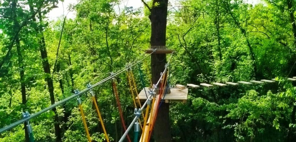 Mini-Zip-Line-Kids-Adventure-Course