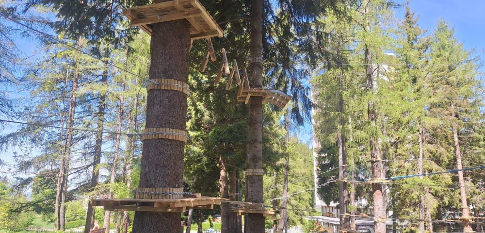 Adventure-Park-Construction-80-Elements