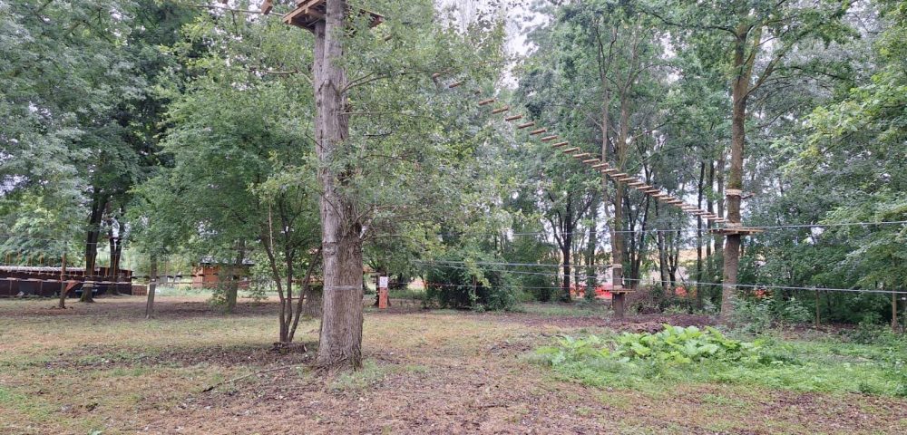 Installation-4-Adventure-Courses-Trees