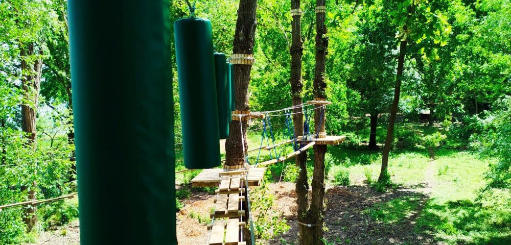 Suspended-Courses-36-Elements-Laghi-Curiel