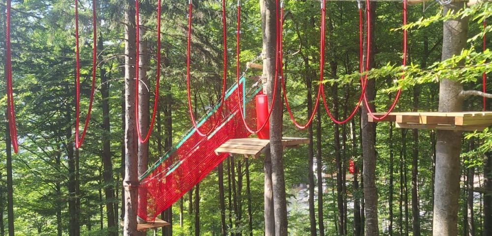 Suspended-Elements-Detail-Slovenian-Border